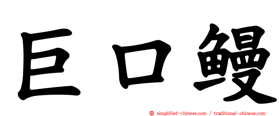 巨口鳗