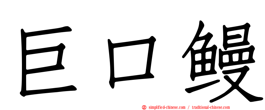 巨口鳗