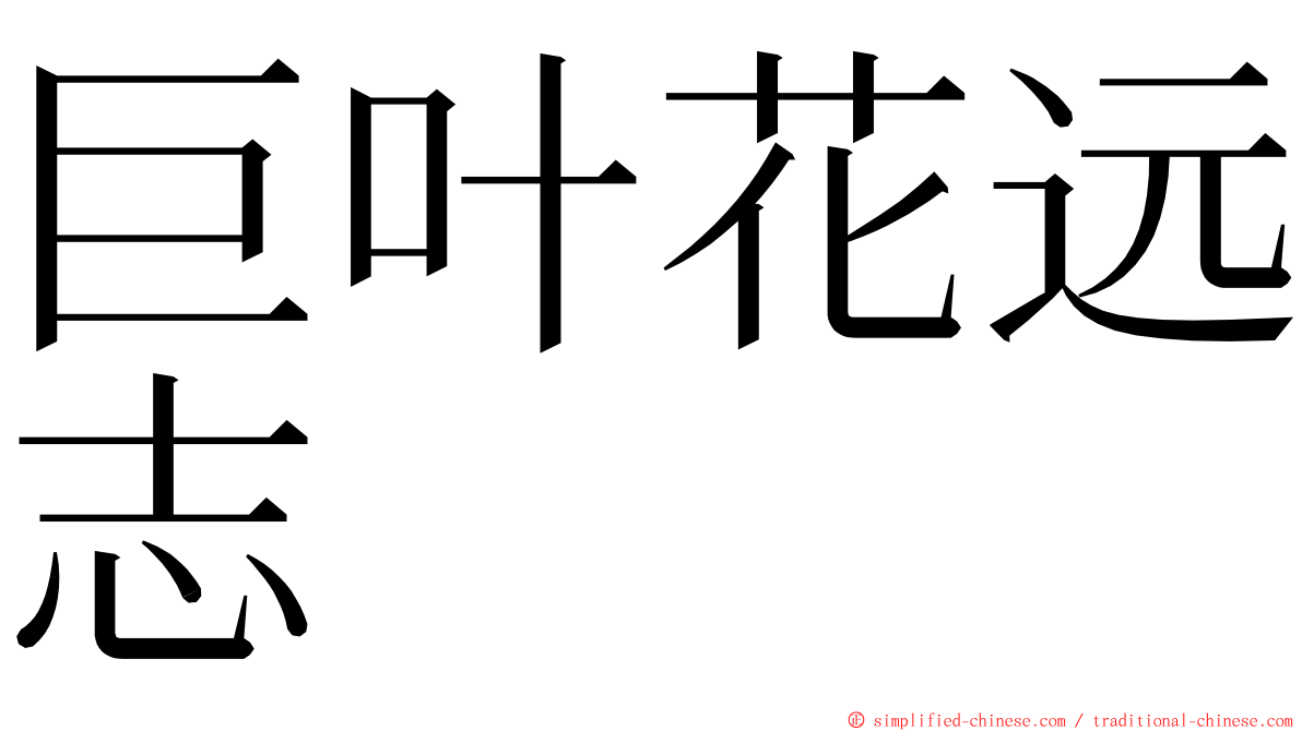 巨叶花远志 ming font
