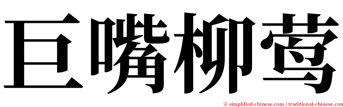 巨嘴柳莺 serif font