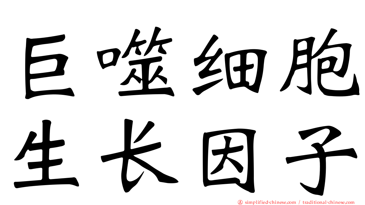 巨噬细胞生长因子