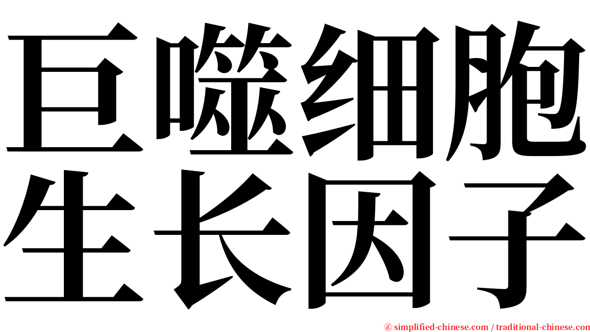 巨噬细胞生长因子 serif font