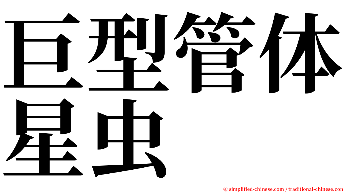巨型管体星虫 serif font