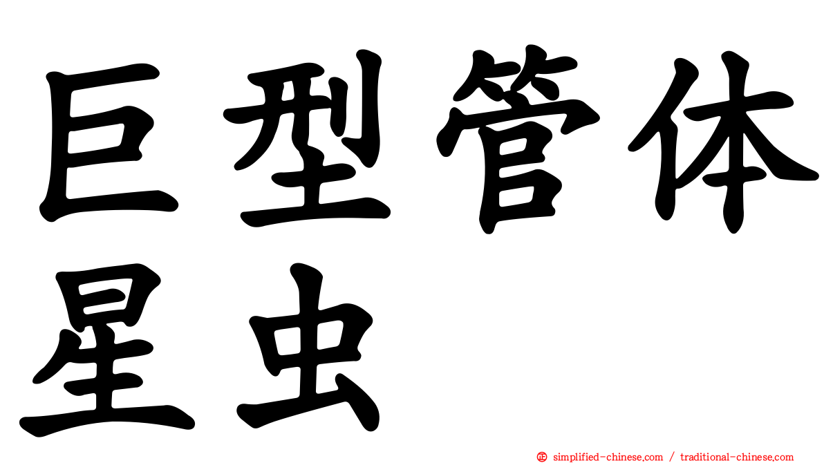 巨型管体星虫