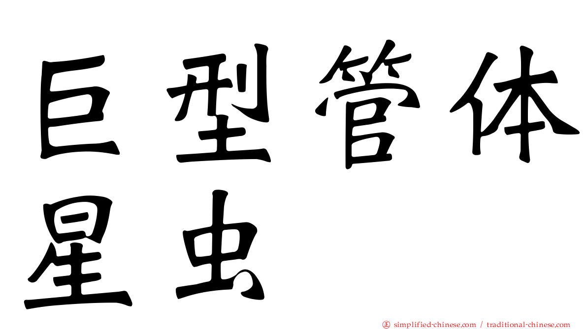 巨型管体星虫