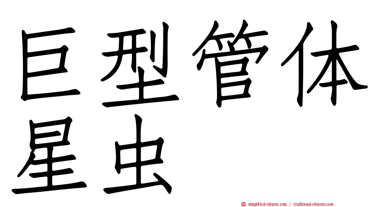巨型管体星虫