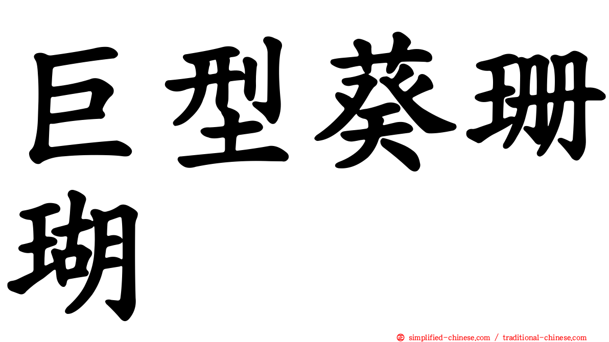 巨型葵珊瑚
