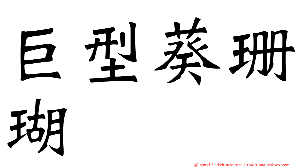 巨型葵珊瑚