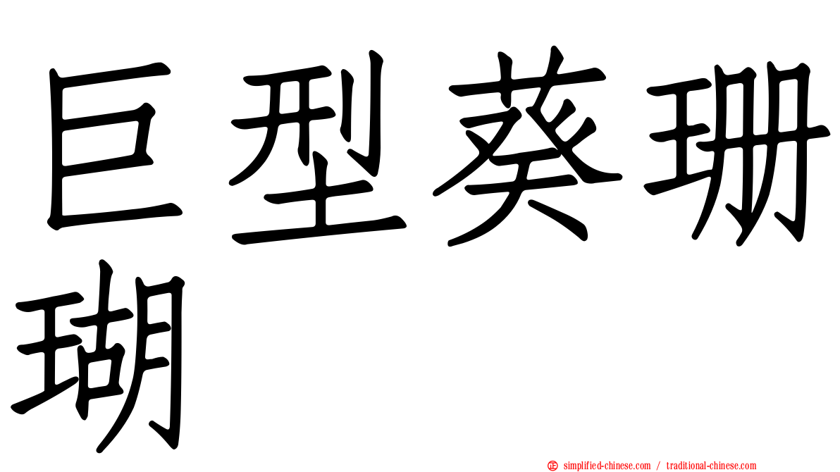 巨型葵珊瑚