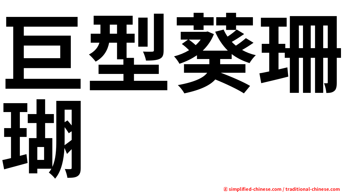 巨型葵珊瑚