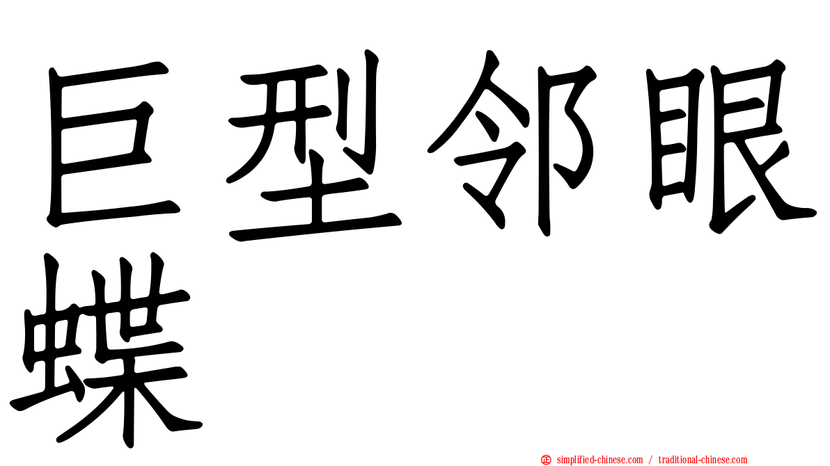 巨型邻眼蝶