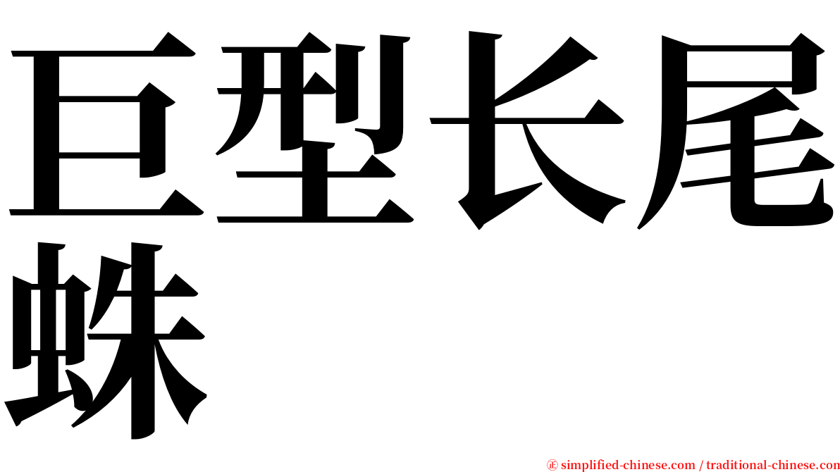 巨型长尾蛛 serif font