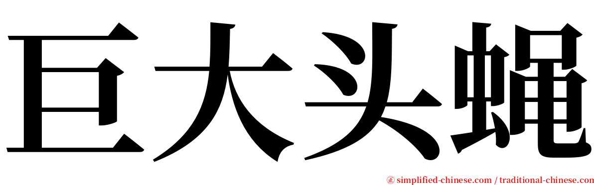 巨大头蝇 serif font