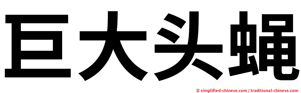 巨大头蝇