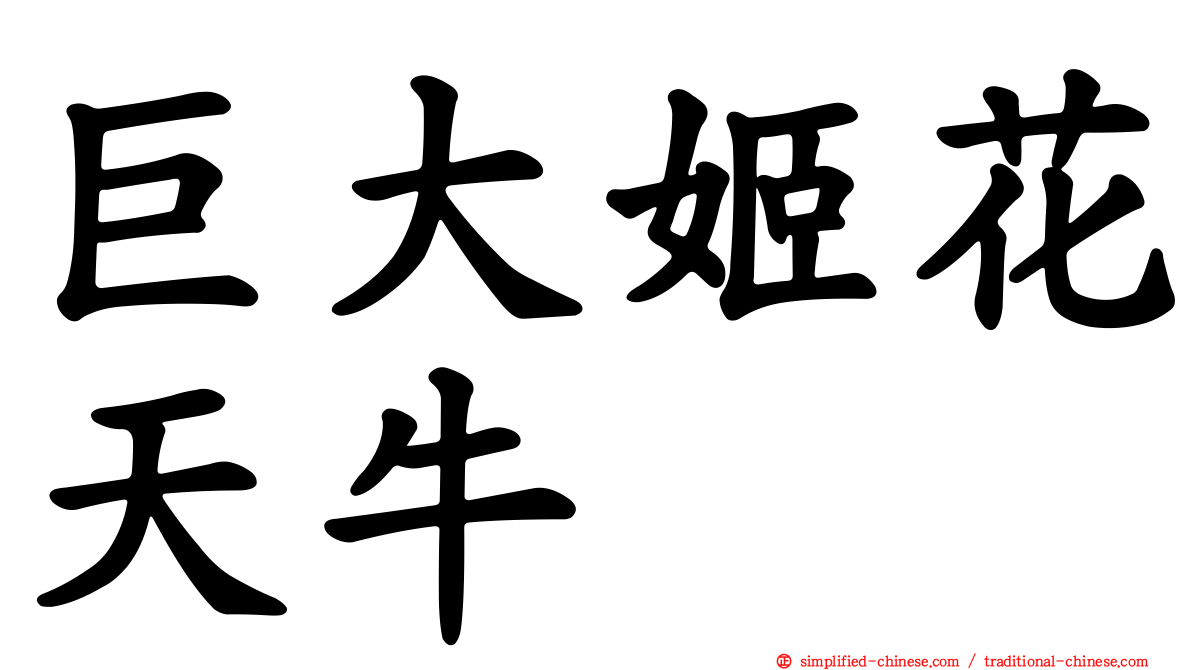 巨大姬花天牛
