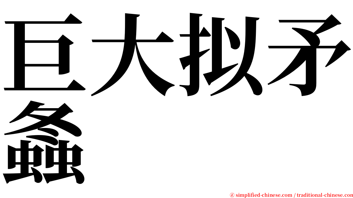 巨大拟矛螽 serif font