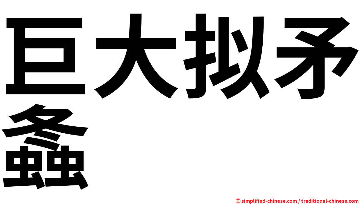 巨大拟矛螽