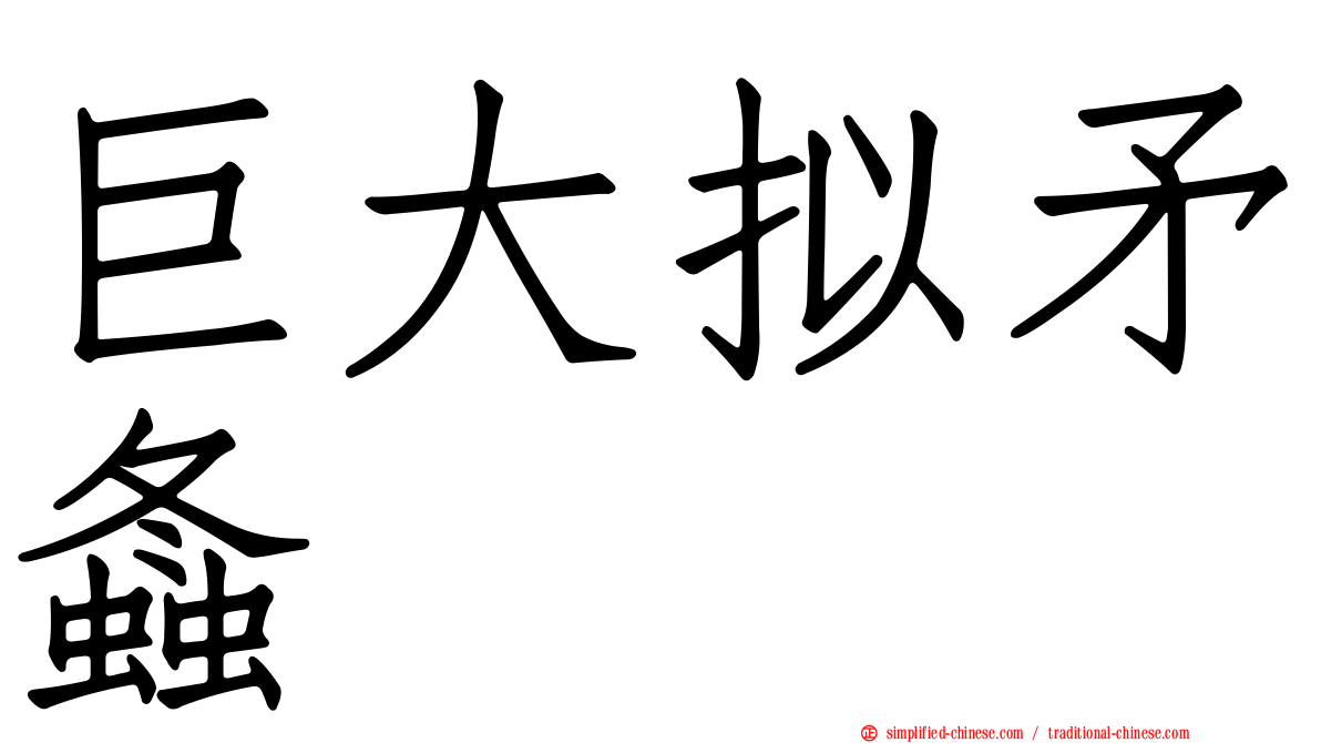 巨大拟矛螽