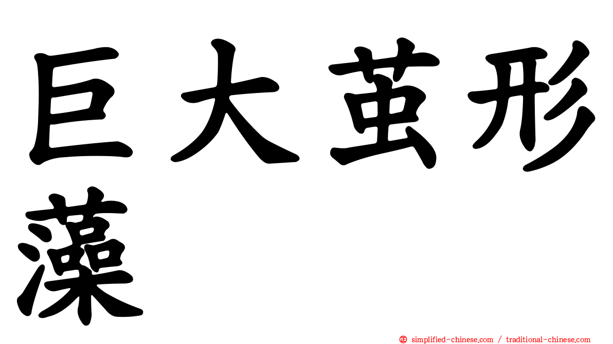 巨大茧形藻
