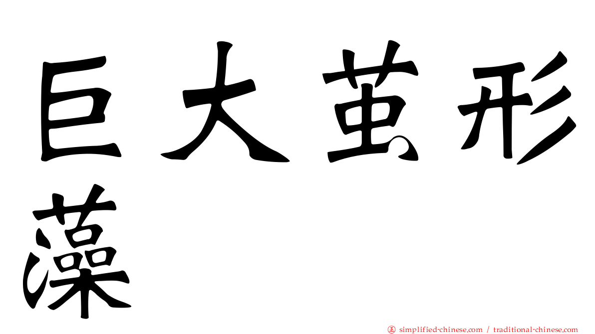 巨大茧形藻