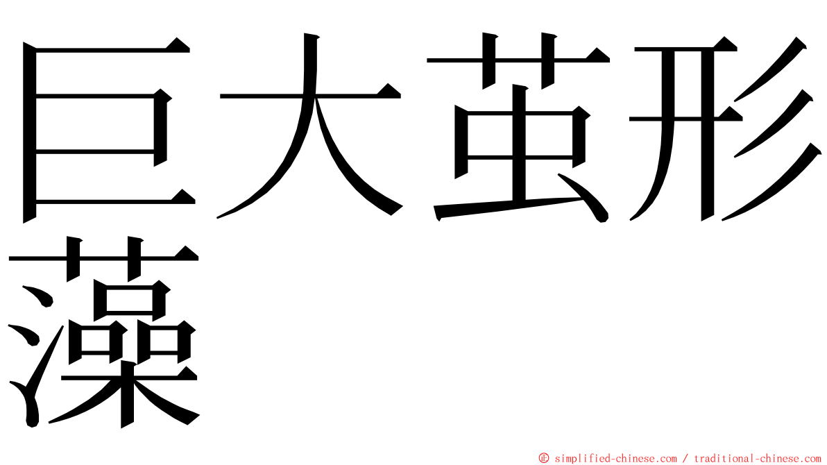 巨大茧形藻 ming font