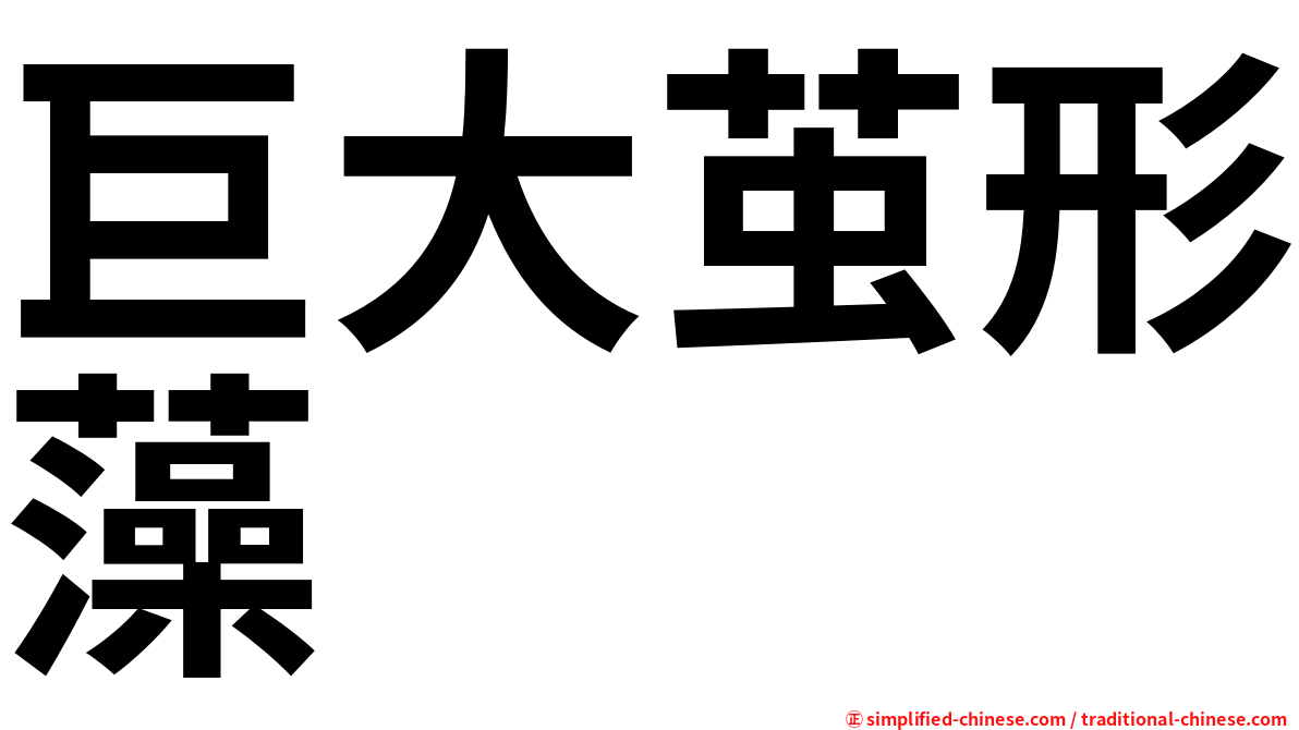 巨大茧形藻