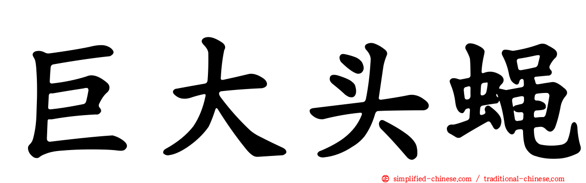 巨大头蝇