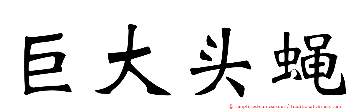 巨大头蝇