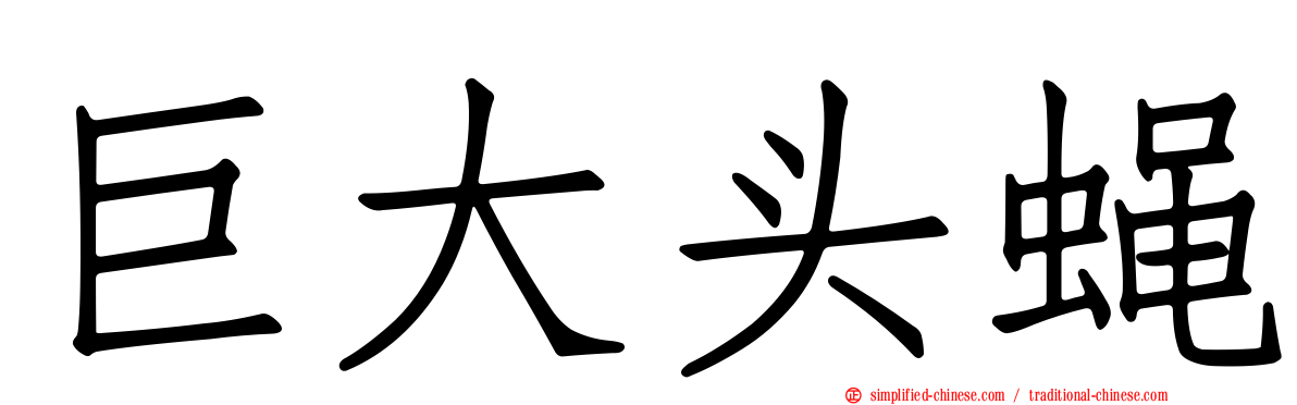 巨大头蝇