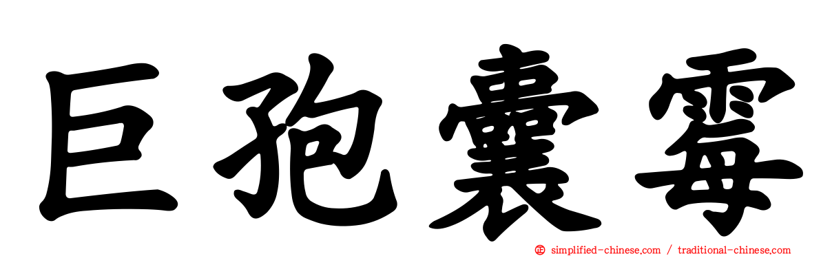 巨孢囊霉