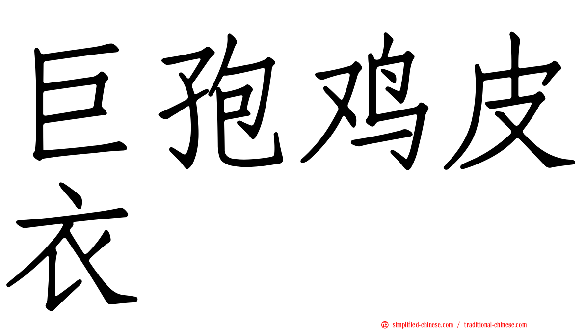 巨孢鸡皮衣