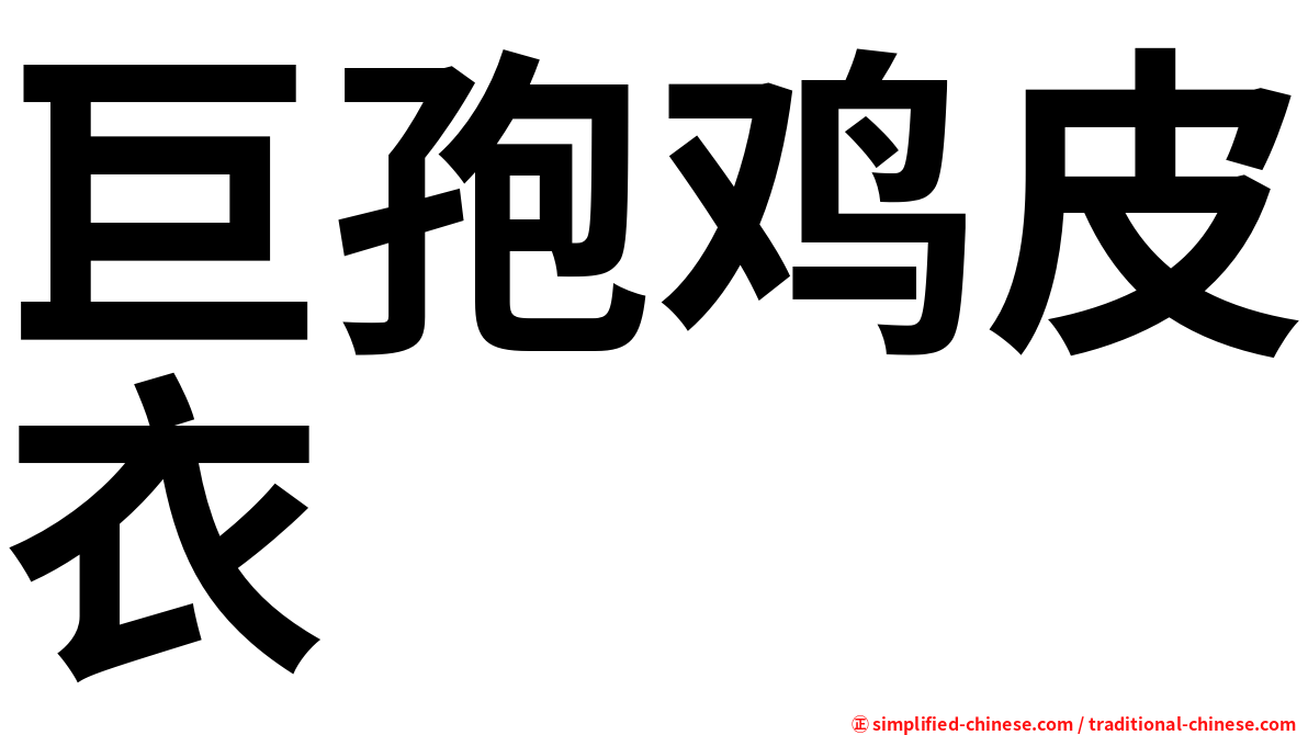 巨孢鸡皮衣