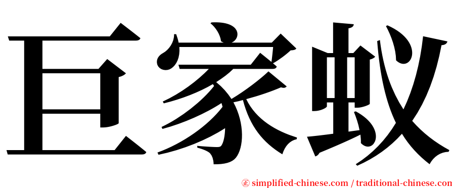 巨家蚁 serif font