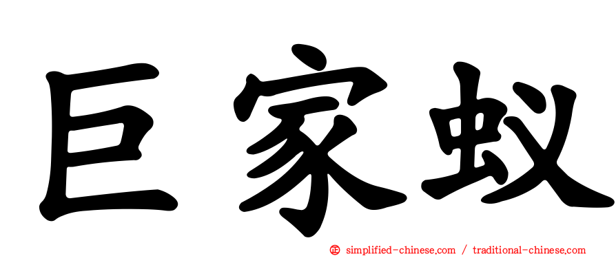巨家蚁