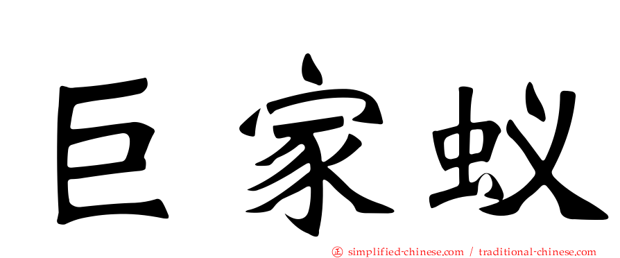 巨家蚁