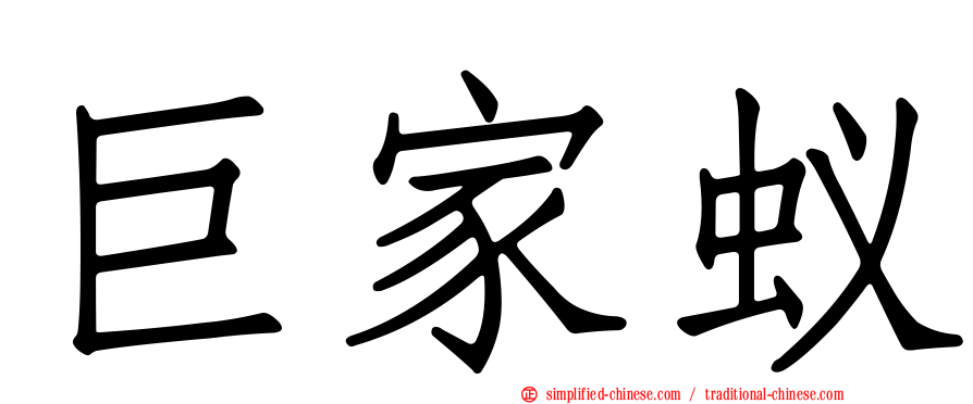 巨家蚁