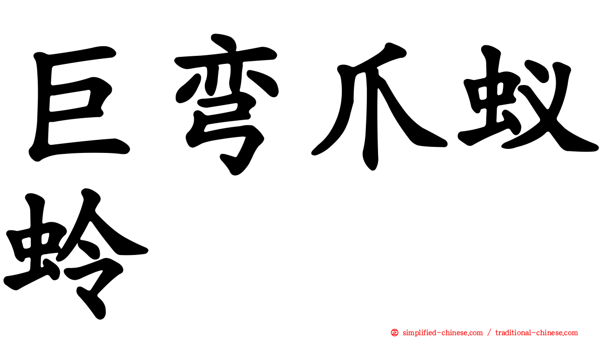 巨弯爪蚁蛉