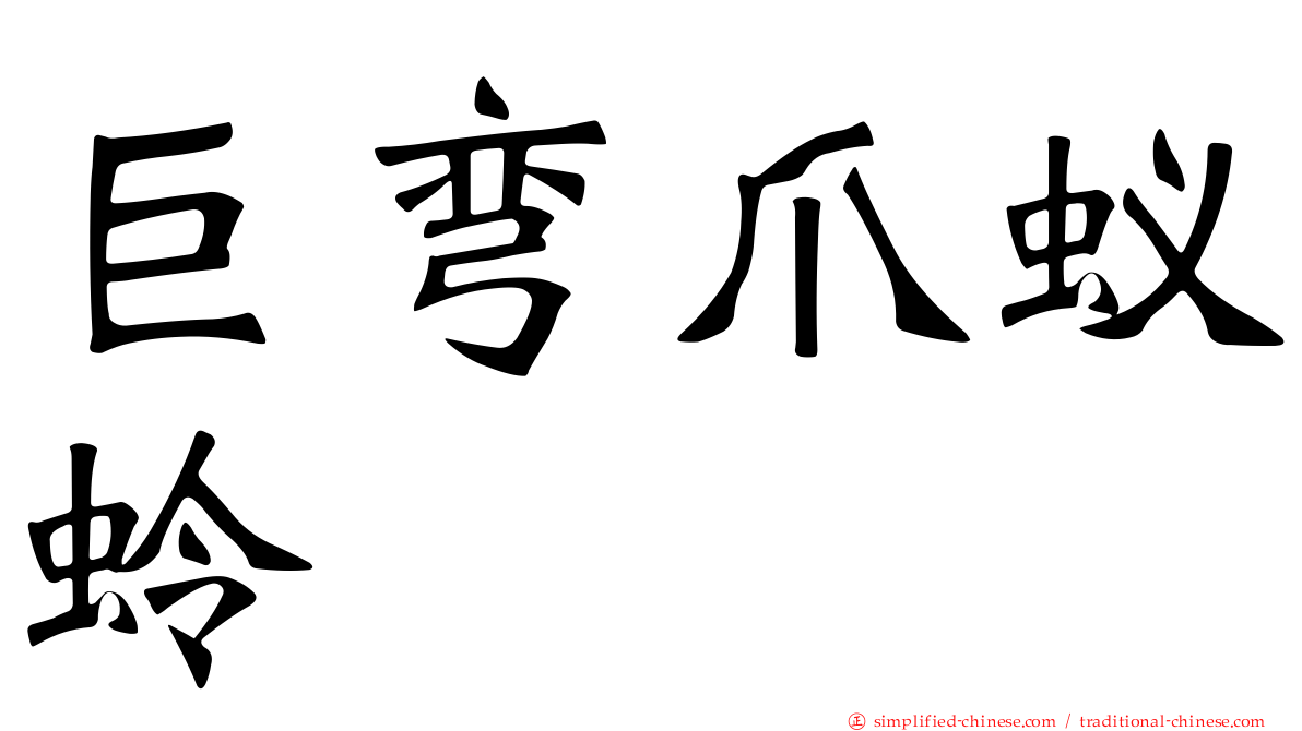 巨弯爪蚁蛉