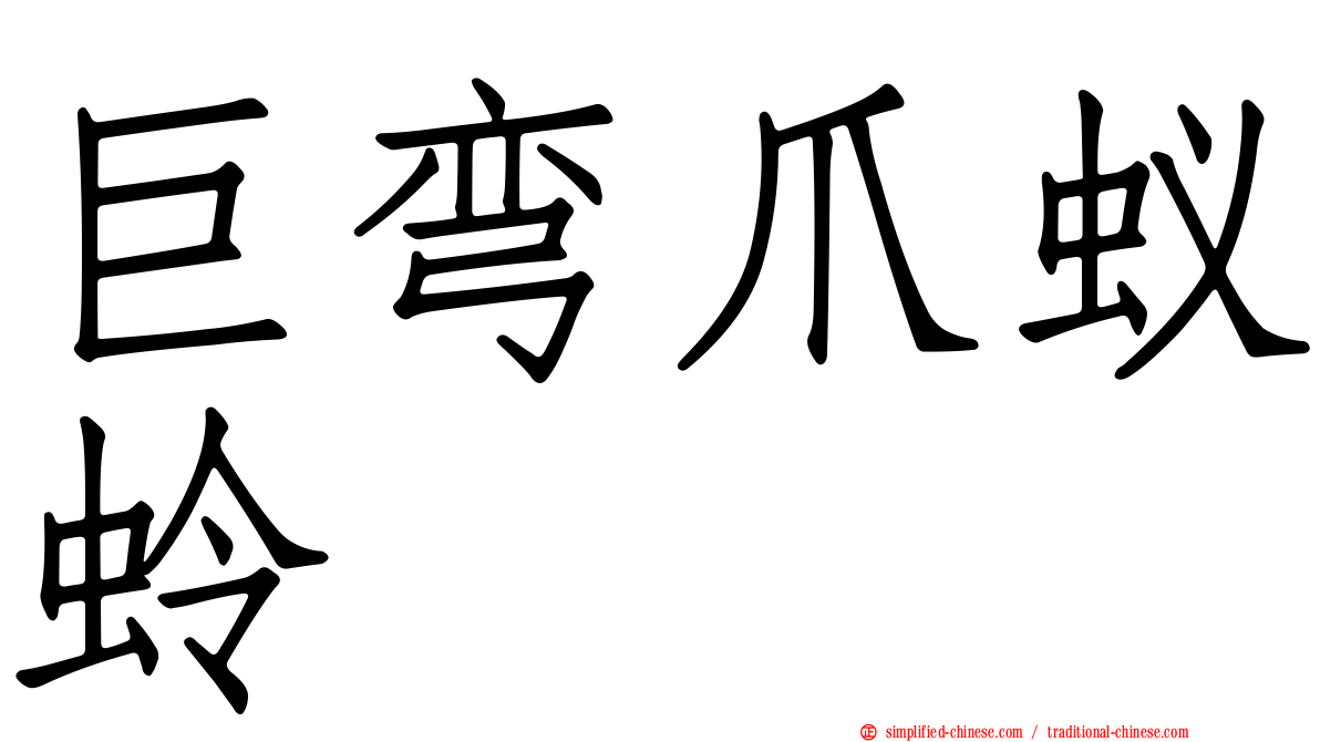 巨弯爪蚁蛉