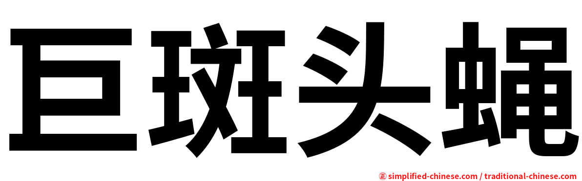 巨斑头蝇
