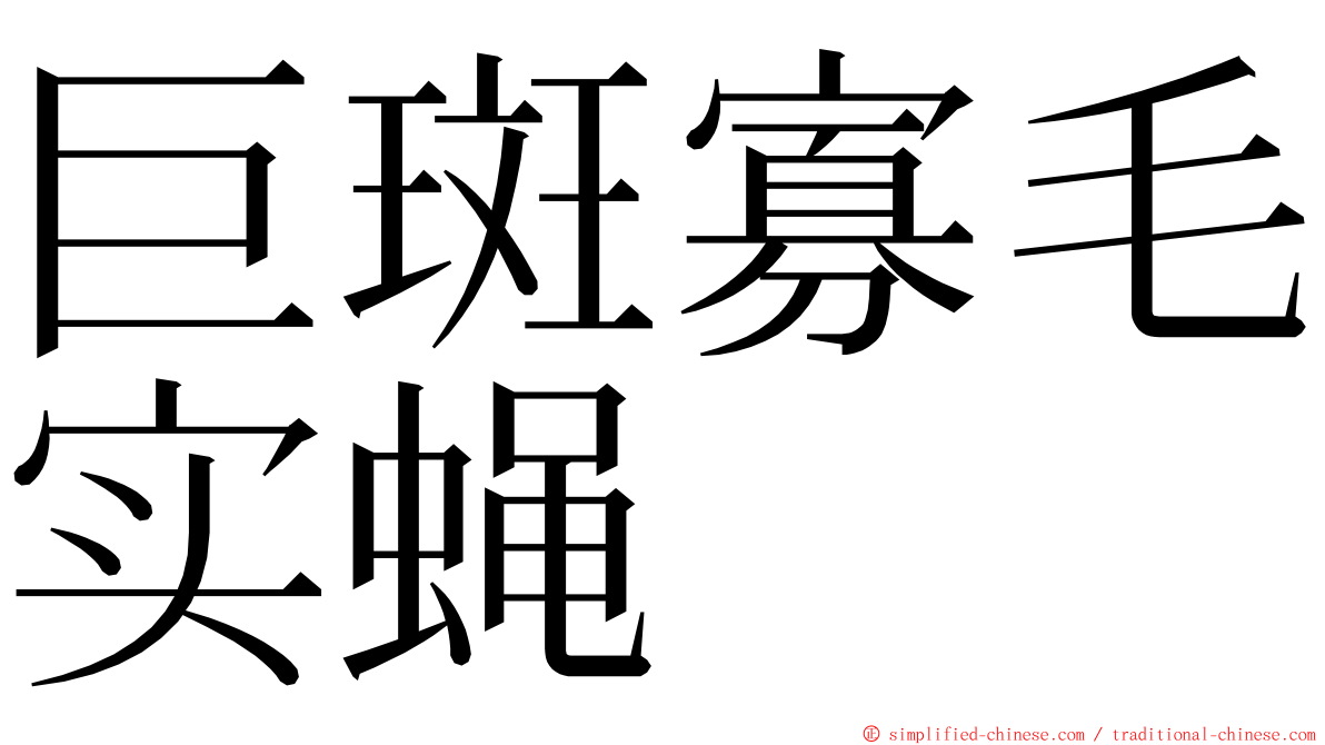 巨斑寡毛实蝇 ming font