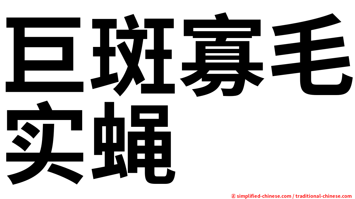 巨斑寡毛实蝇