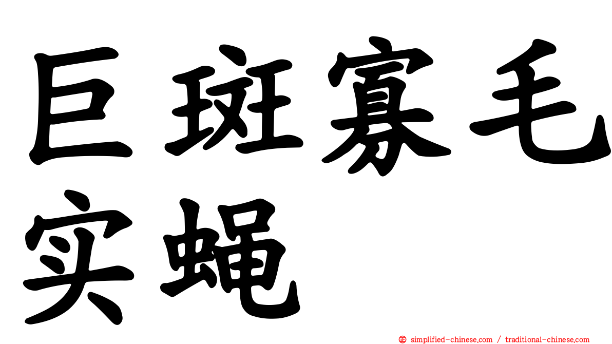 巨斑寡毛实蝇