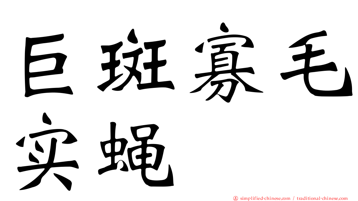 巨斑寡毛实蝇