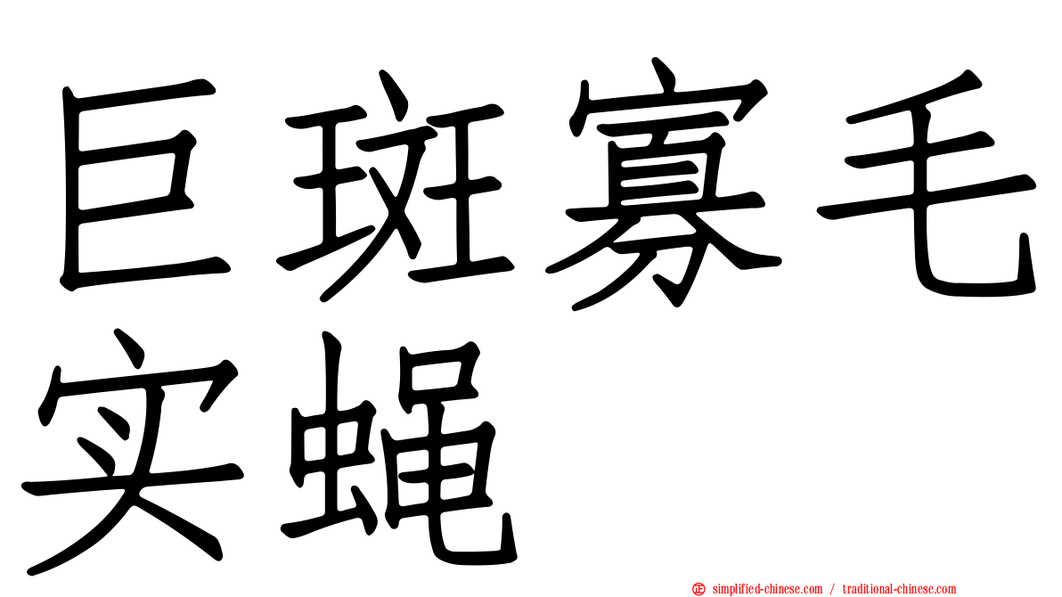 巨斑寡毛实蝇