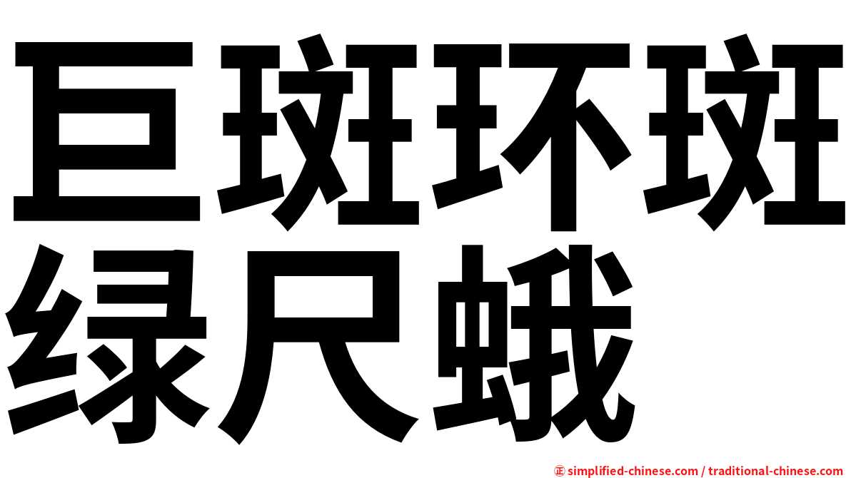 巨斑环斑绿尺蛾