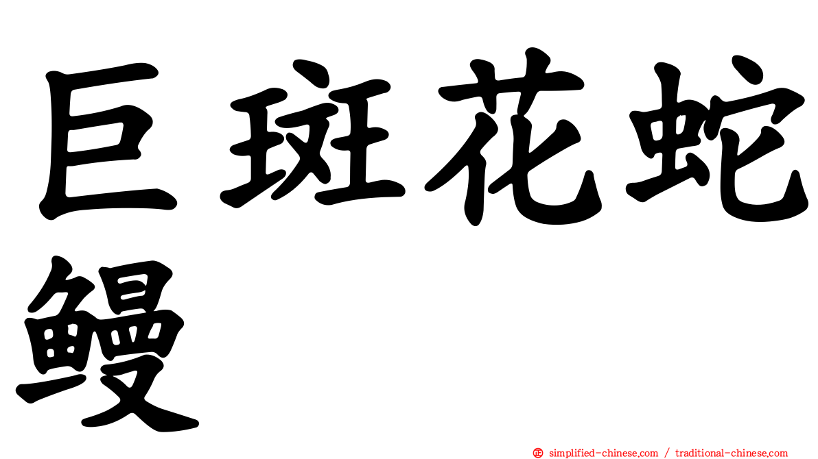 巨斑花蛇鳗