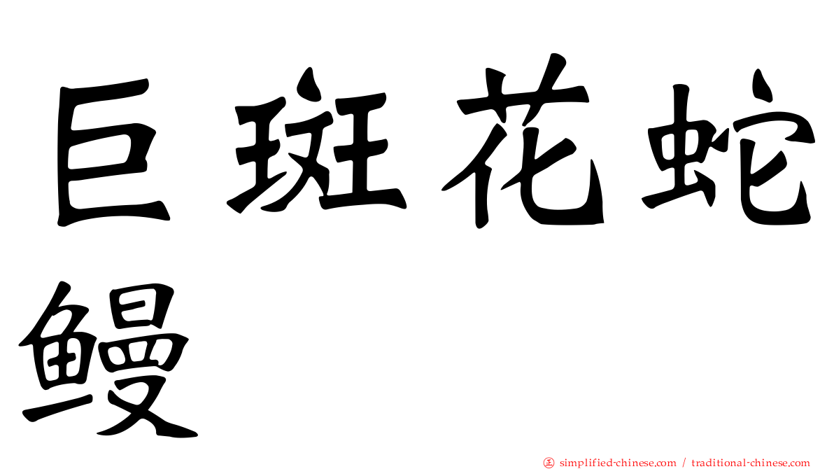 巨斑花蛇鳗