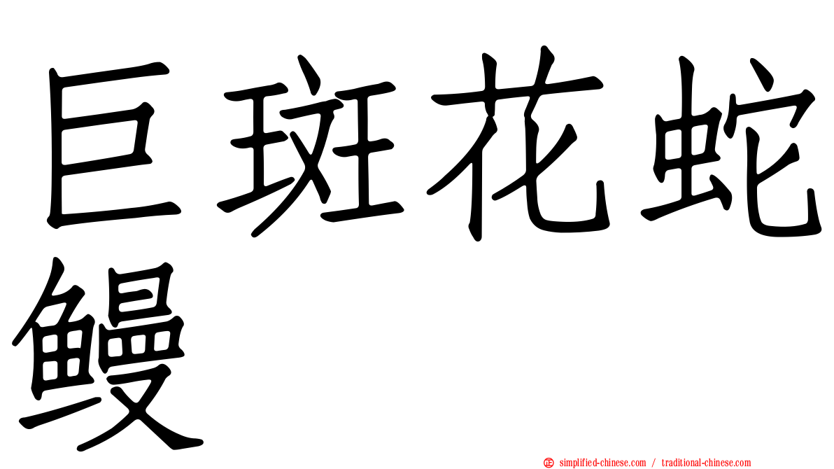 巨斑花蛇鳗