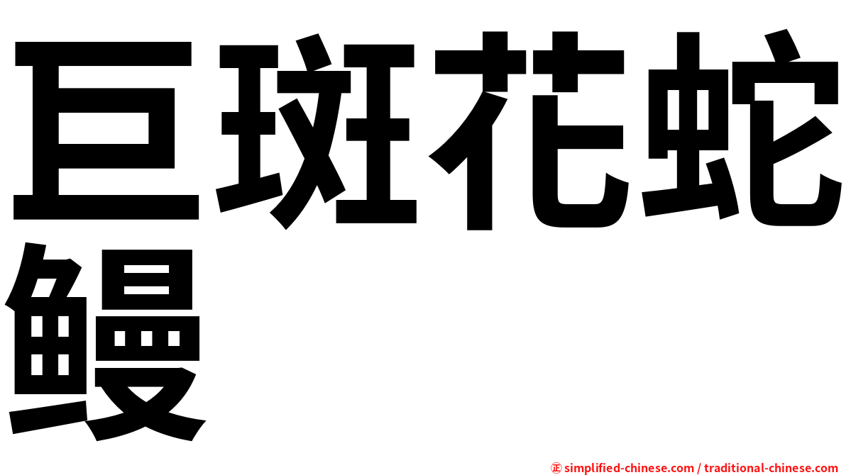 巨斑花蛇鳗